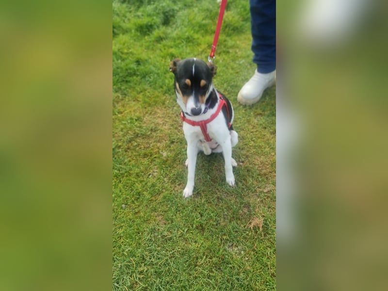 Mini-Mädchen Mandy sucht ihre Familie!