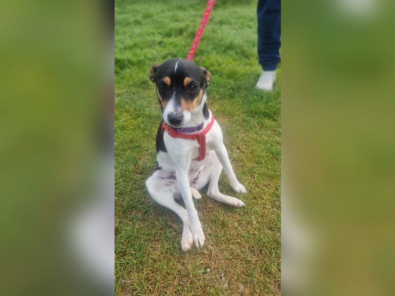 Mini-Mädchen Mandy sucht ihre Familie!