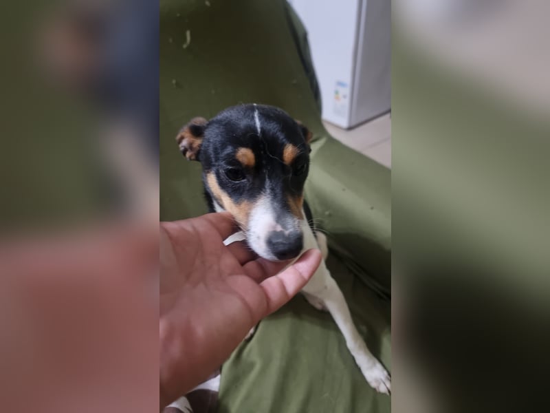 Mini-Mädchen Mandy sucht ihre Familie!