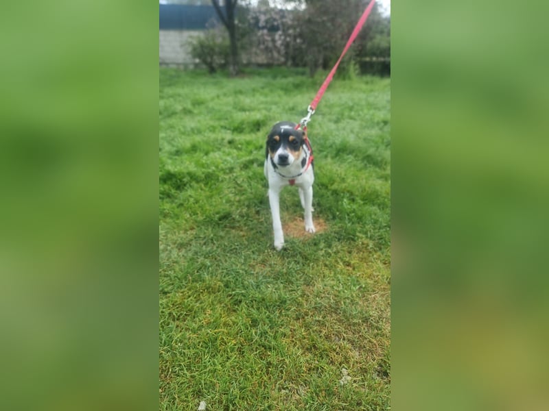 Mini-Mädchen Mandy sucht ihre Familie!