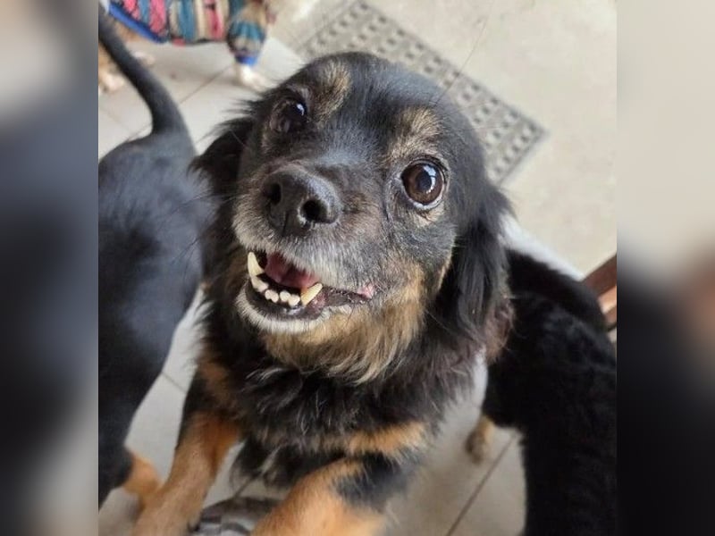 zauberhafte, liebe kleine Tanja