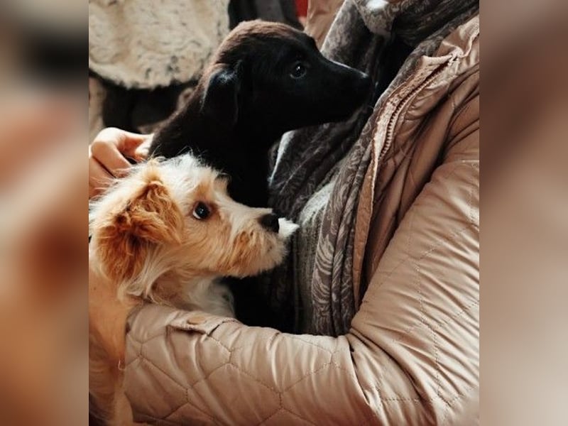 menschenbezogener, lieber Jalo