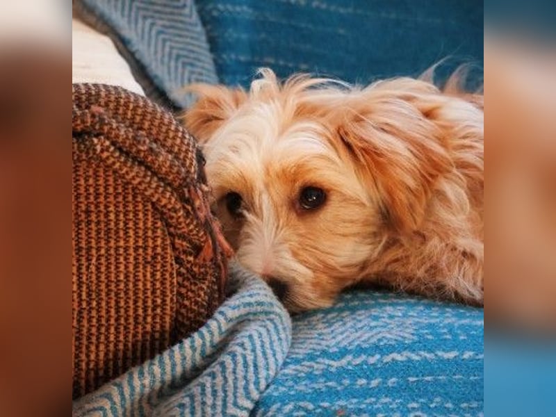 menschenbezogener, lieber Jalo