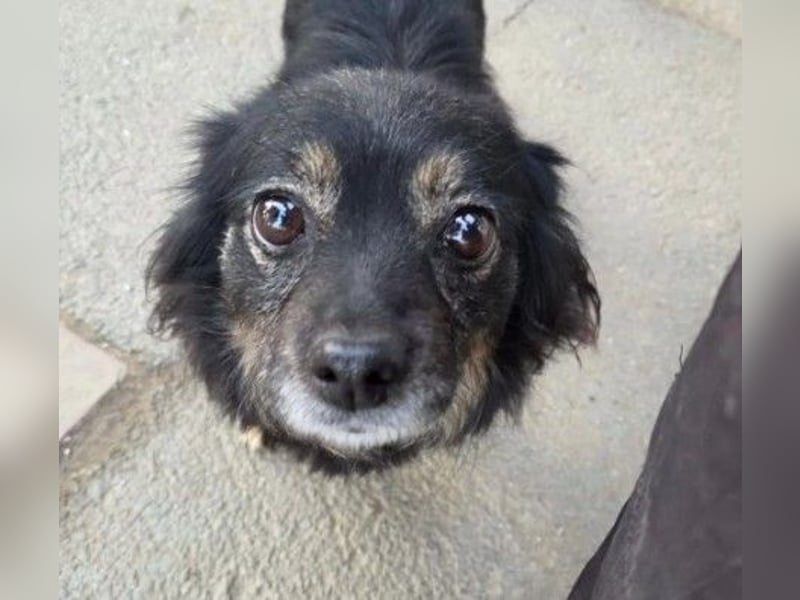 zauberhafte, liebe kleine Tanja