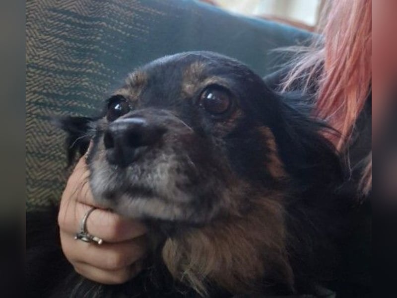 zauberhafte, liebe kleine Tanja