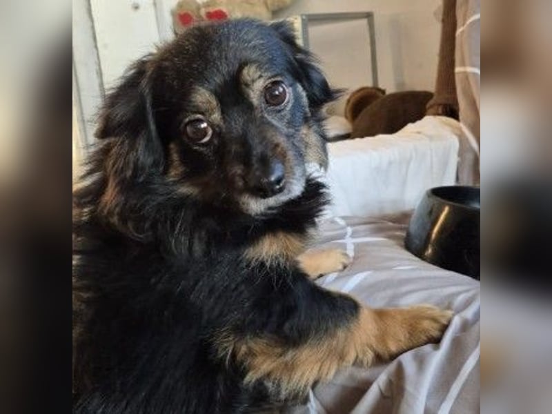 zauberhafte, liebe kleine Tanja