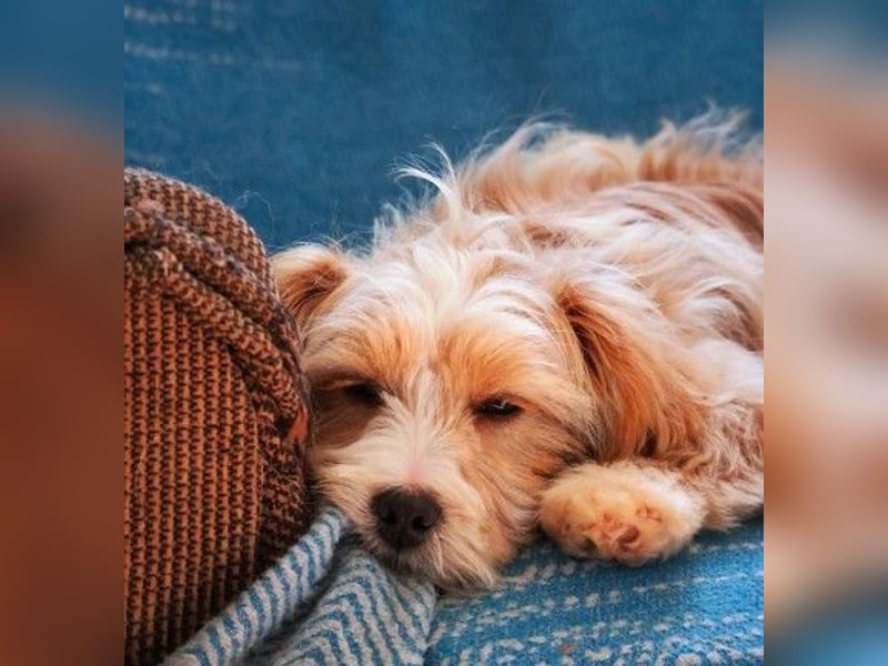 menschenbezogener, lieber Jalo