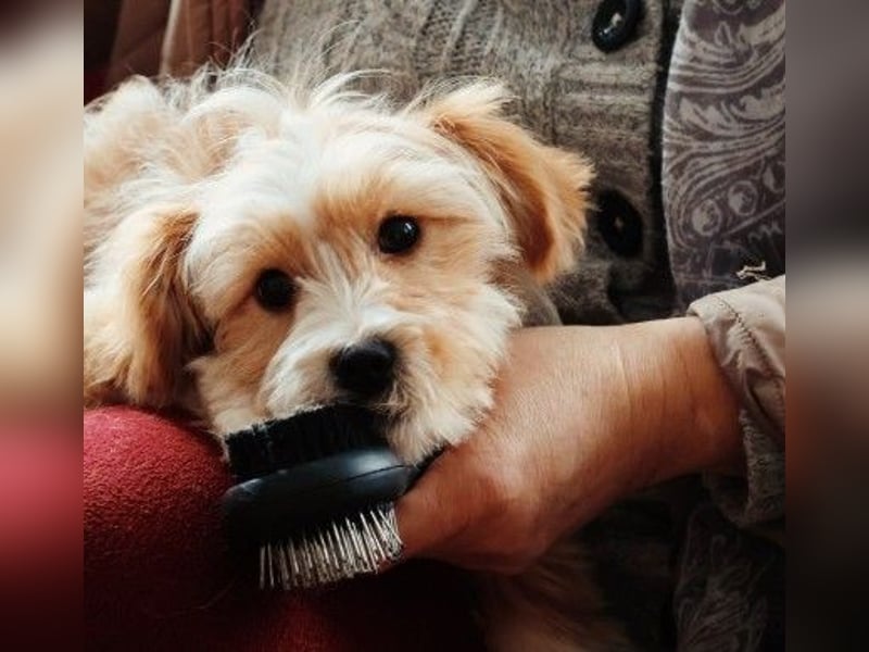 menschenbezogener, lieber Jalo