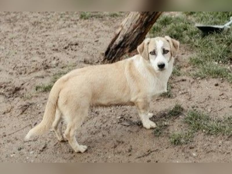 zauberhafter Emoji sucht seine Menschen