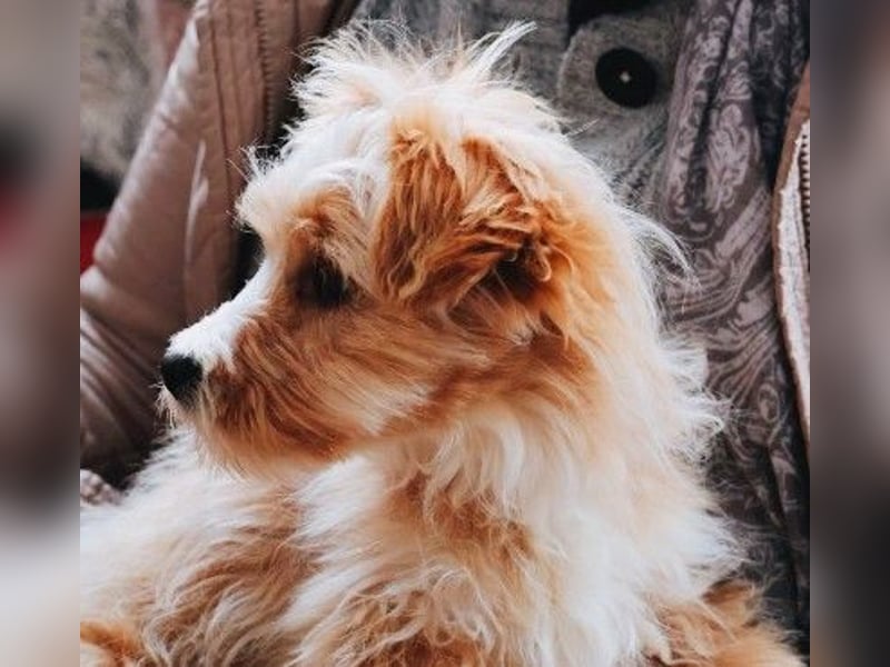 menschenbezogener, lieber Jalo