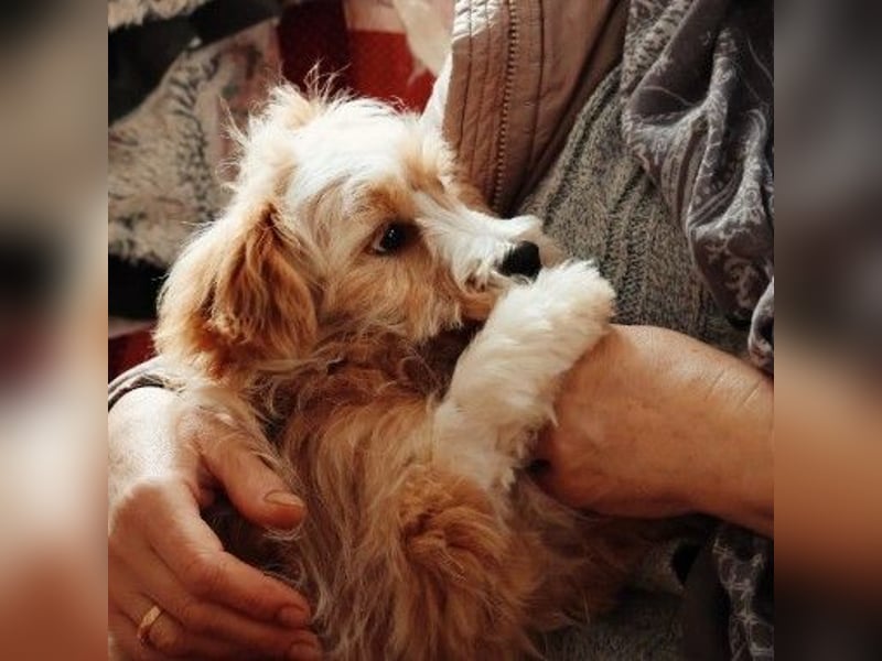 menschenbezogener, lieber Jalo