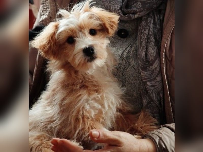 menschenbezogener, lieber Jalo