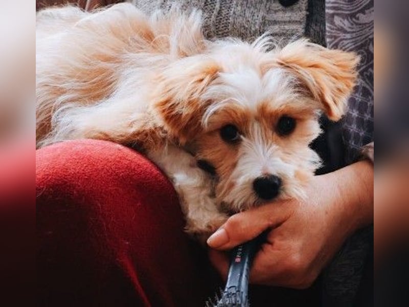 menschenbezogener, lieber Jalo