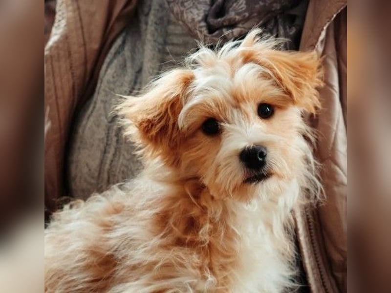 menschenbezogener, lieber Jalo