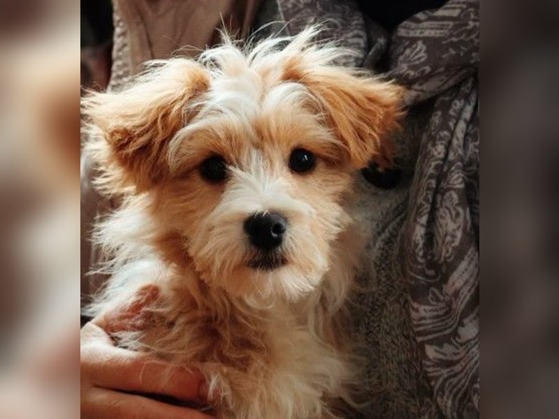 menschenbezogener, lieber Jalo