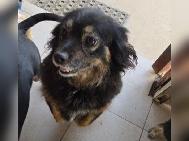 zauberhafte, liebe kleine Tanja