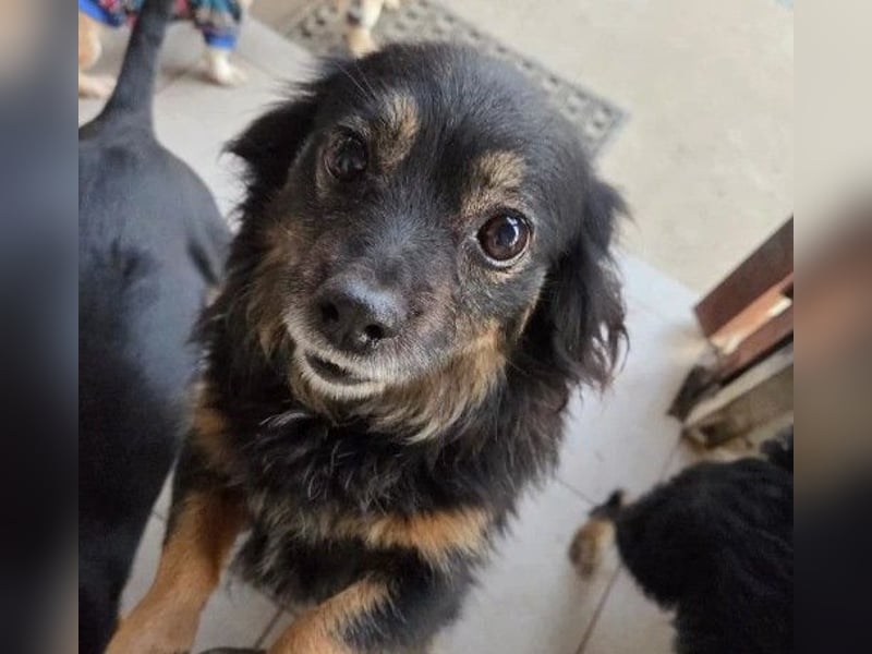 zauberhafte, liebe kleine Tanja