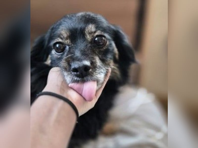 zauberhafte, liebe kleine Tanja