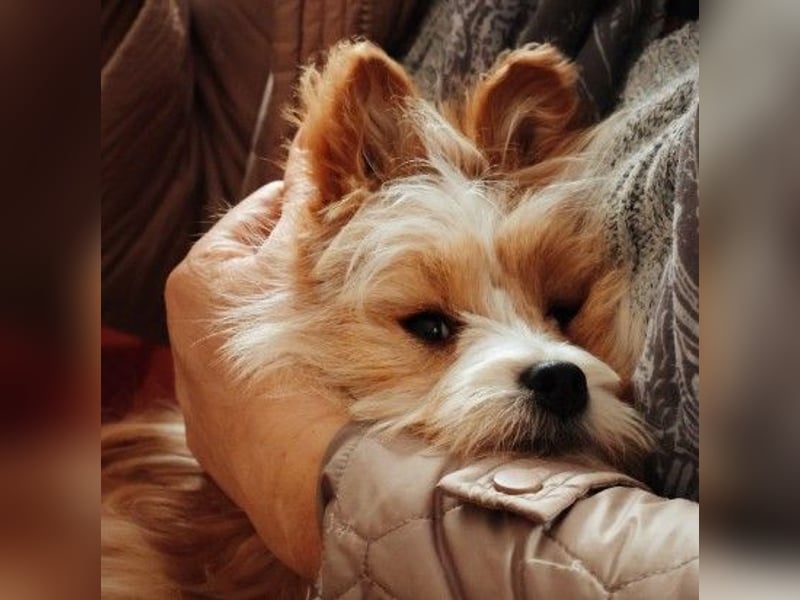 menschenbezogener, lieber Jalo