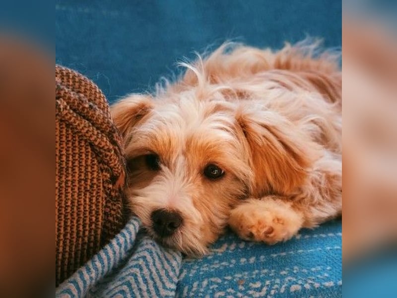 menschenbezogener, lieber Jalo