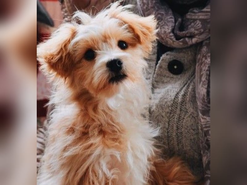 menschenbezogener, lieber Jalo