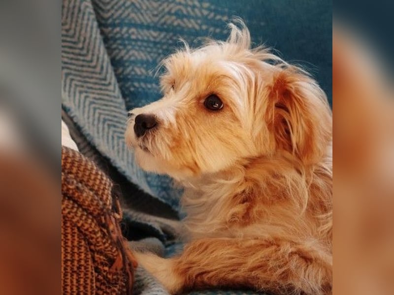 menschenbezogener, lieber Jalo