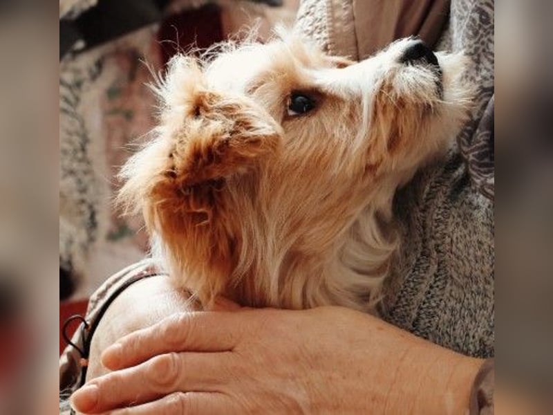 menschenbezogener, lieber Jalo