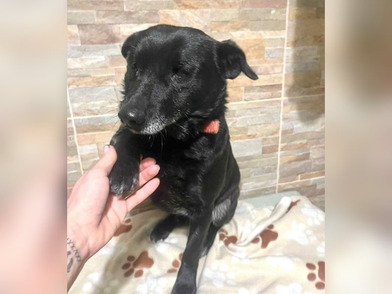 Chernyo – ein Leben in Dunkelheit, das endlich Licht verdient