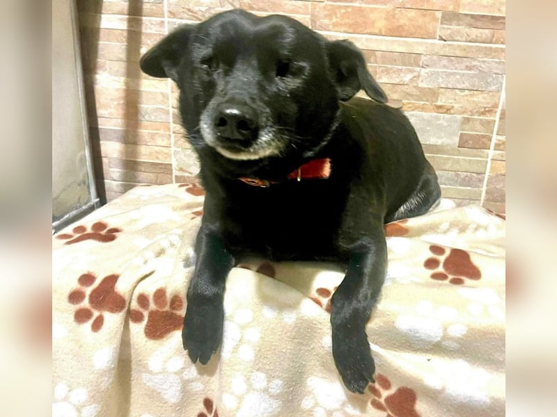 Chernyo – ein Leben in Dunkelheit, das endlich Licht verdient