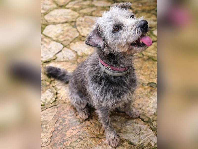 Crack sucht geduldige, empathische Menschen