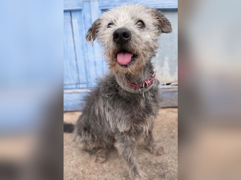 Crack sucht geduldige, empathische Menschen