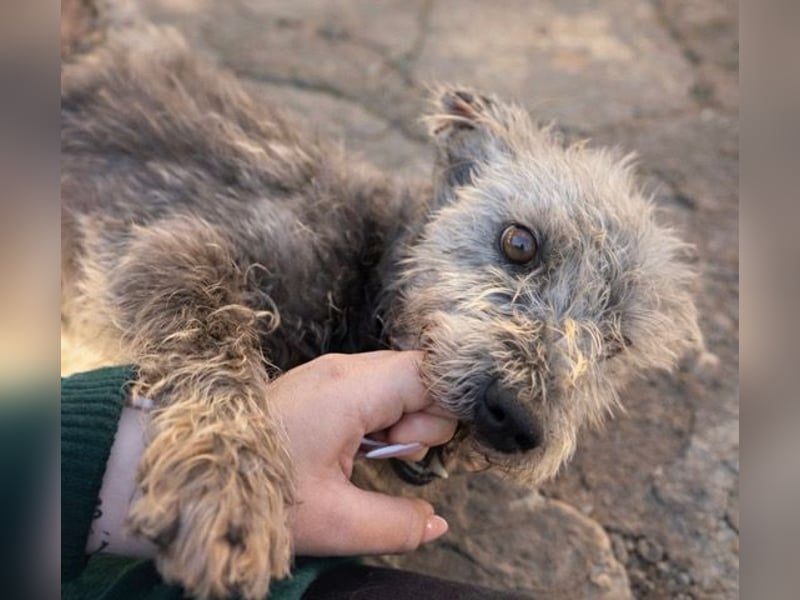 Crack sucht geduldige, empathische Menschen