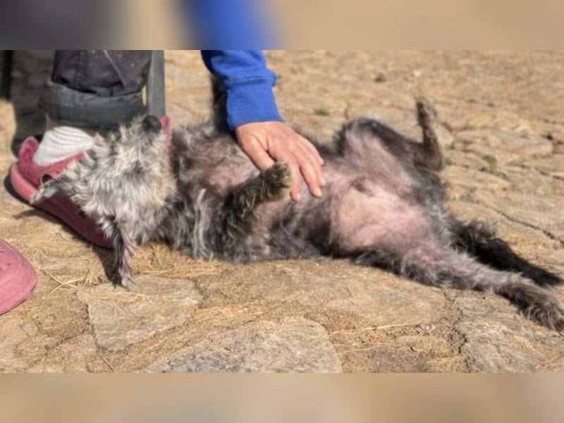 Crack sucht geduldige, empathische Menschen