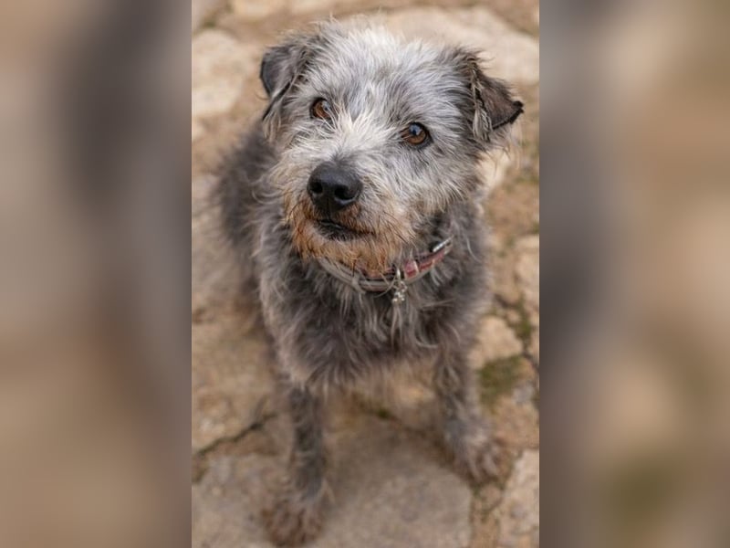 Crack sucht geduldige, empathische Menschen