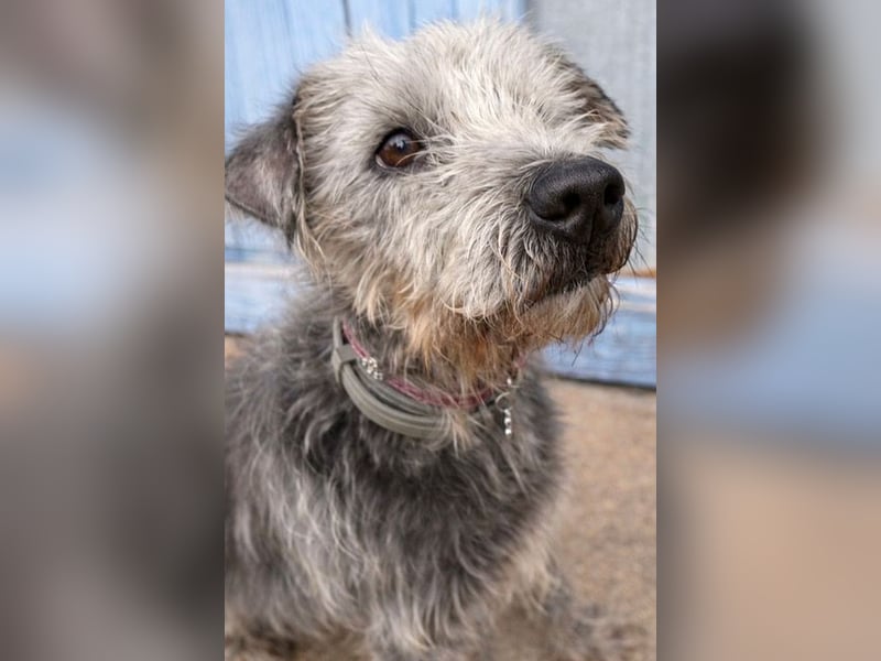 Crack sucht geduldige, empathische Menschen