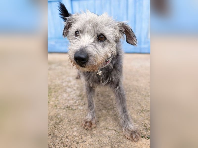 Crack sucht geduldige, empathische Menschen