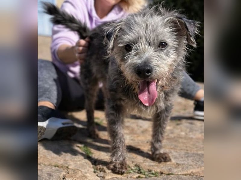 Crack sucht geduldige, empathische Menschen