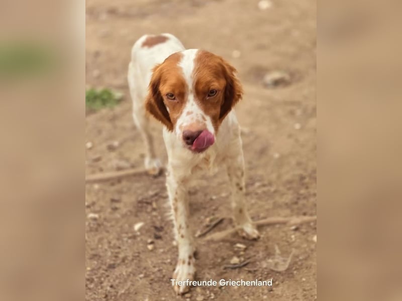  Nacho – der Sanfte