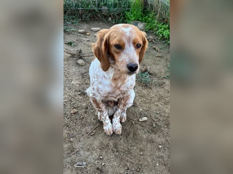  Pepper – der Vorsichtige﻿