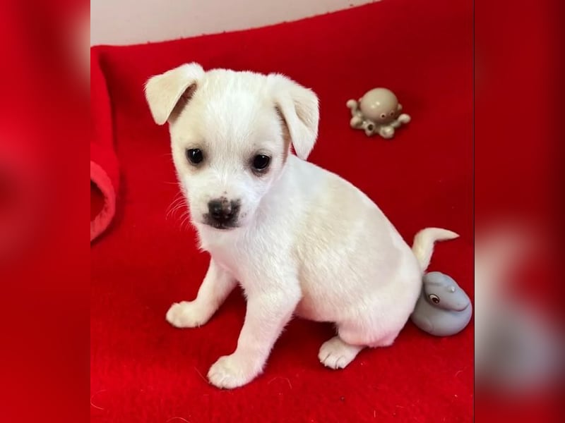 Loni – fröhlich und unbeschwert 