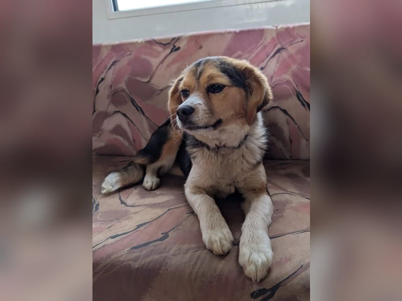 Eleni – bereit für gemeinsame Abenteuer