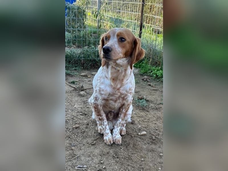  Pepper – der Vorsichtige﻿