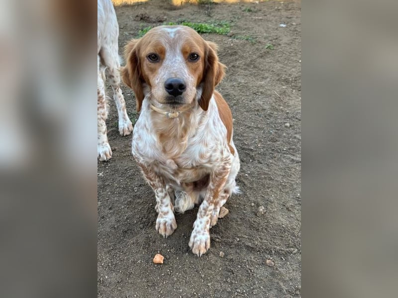  Pepper – der Vorsichtige﻿