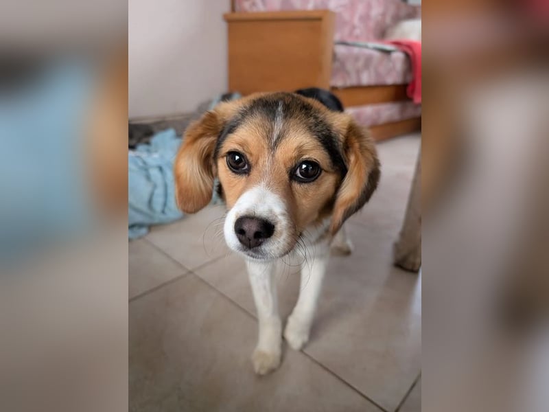 Eleni – bereit für gemeinsame Abenteuer