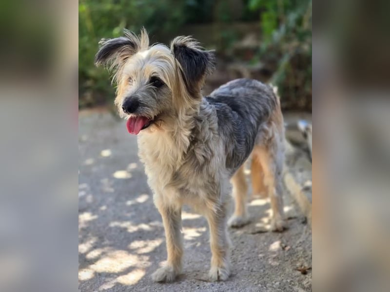Lotti – wunderschön und noch sehr unsicher 