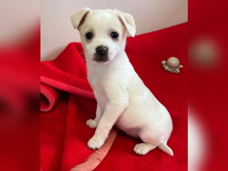 Loni – fröhlich und unbeschwert 