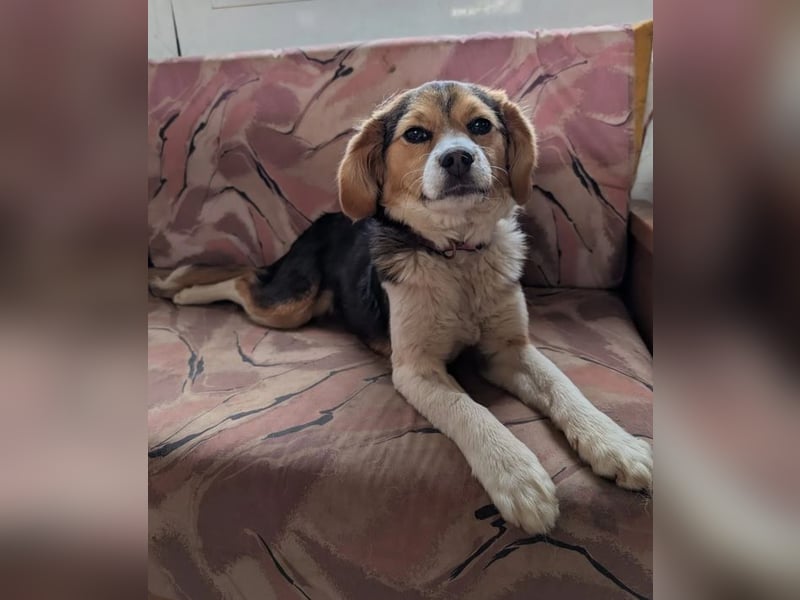 Eleni – bereit für gemeinsame Abenteuer