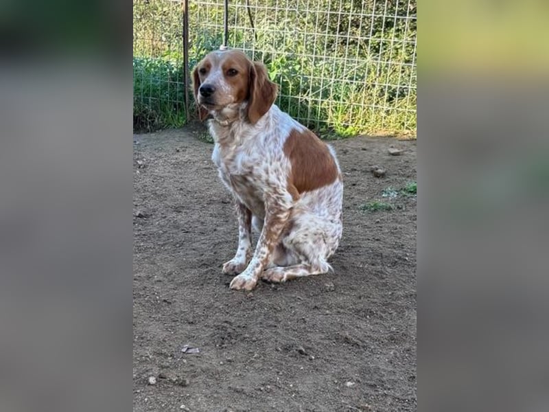  Pepper – der Vorsichtige﻿