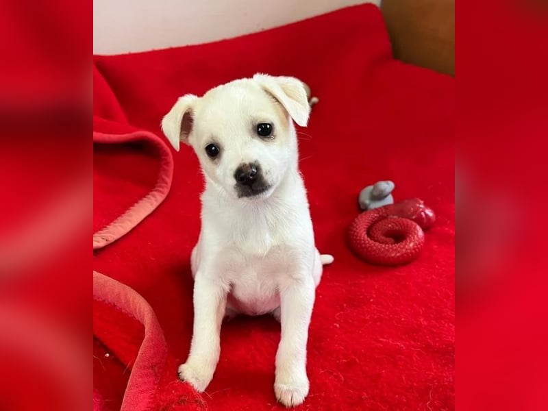 Loni – fröhlich und unbeschwert 