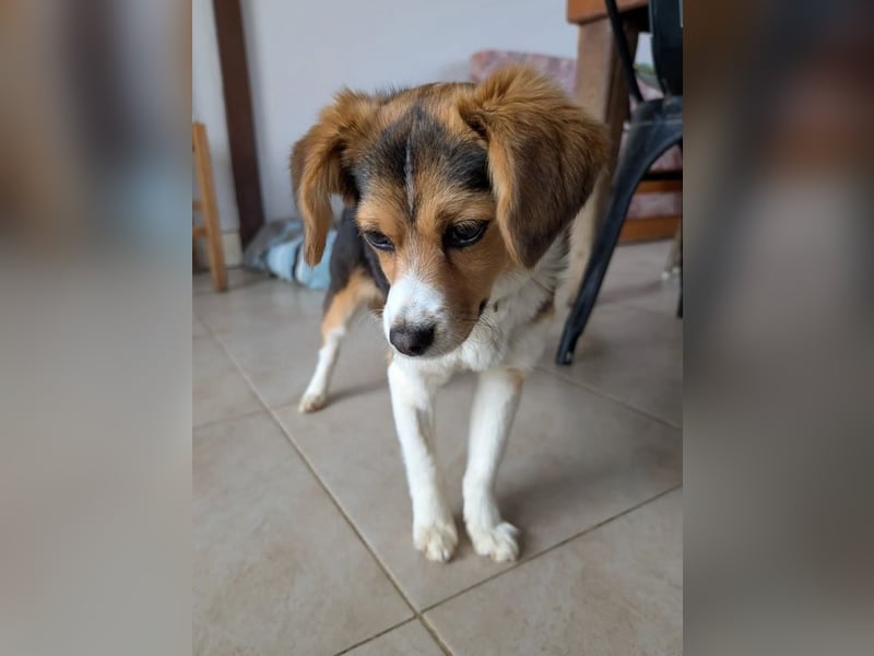 Eleni – bereit für gemeinsame Abenteuer